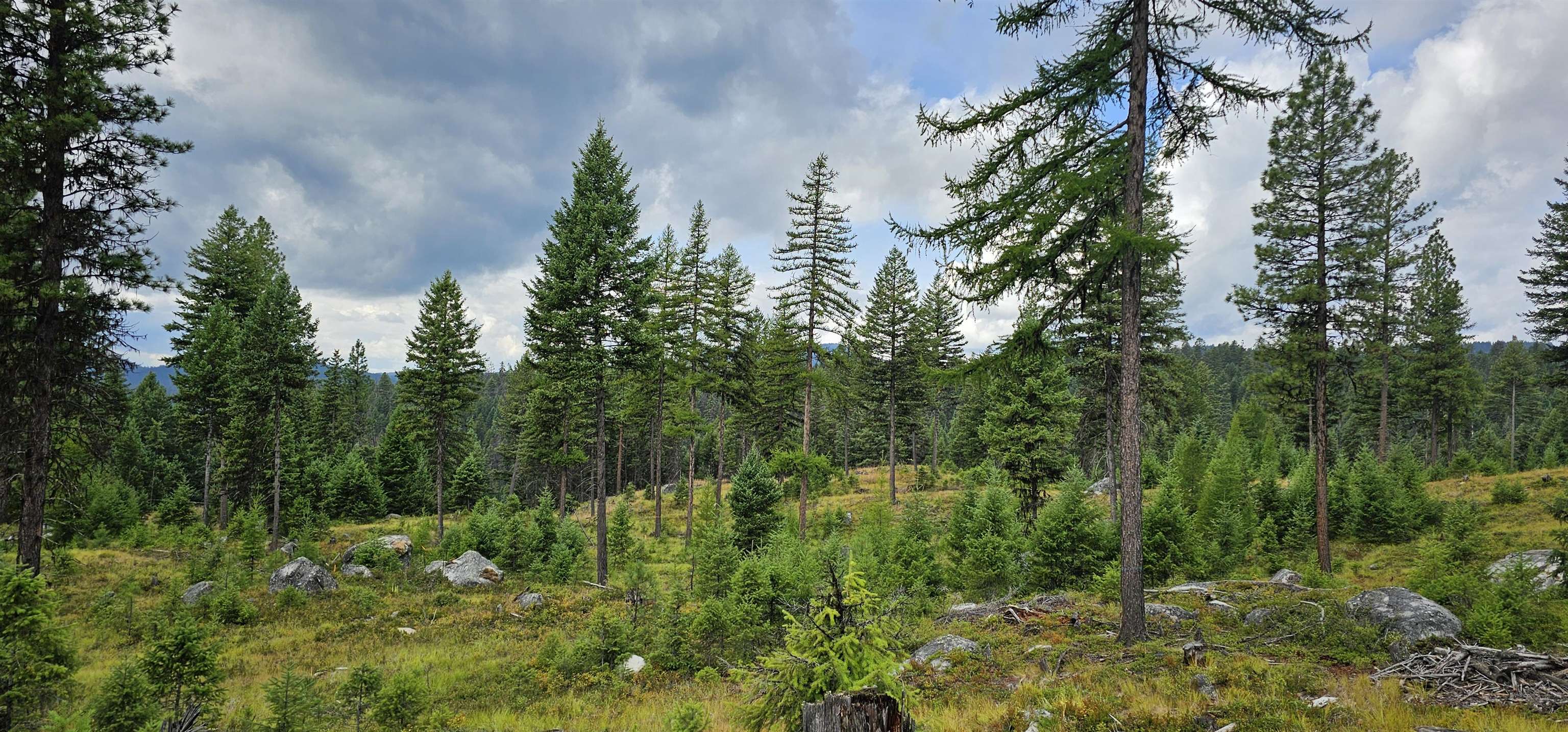 Tbd Lot 9 Tbd Road Republic, WA 99166 - Photo 7 of 28