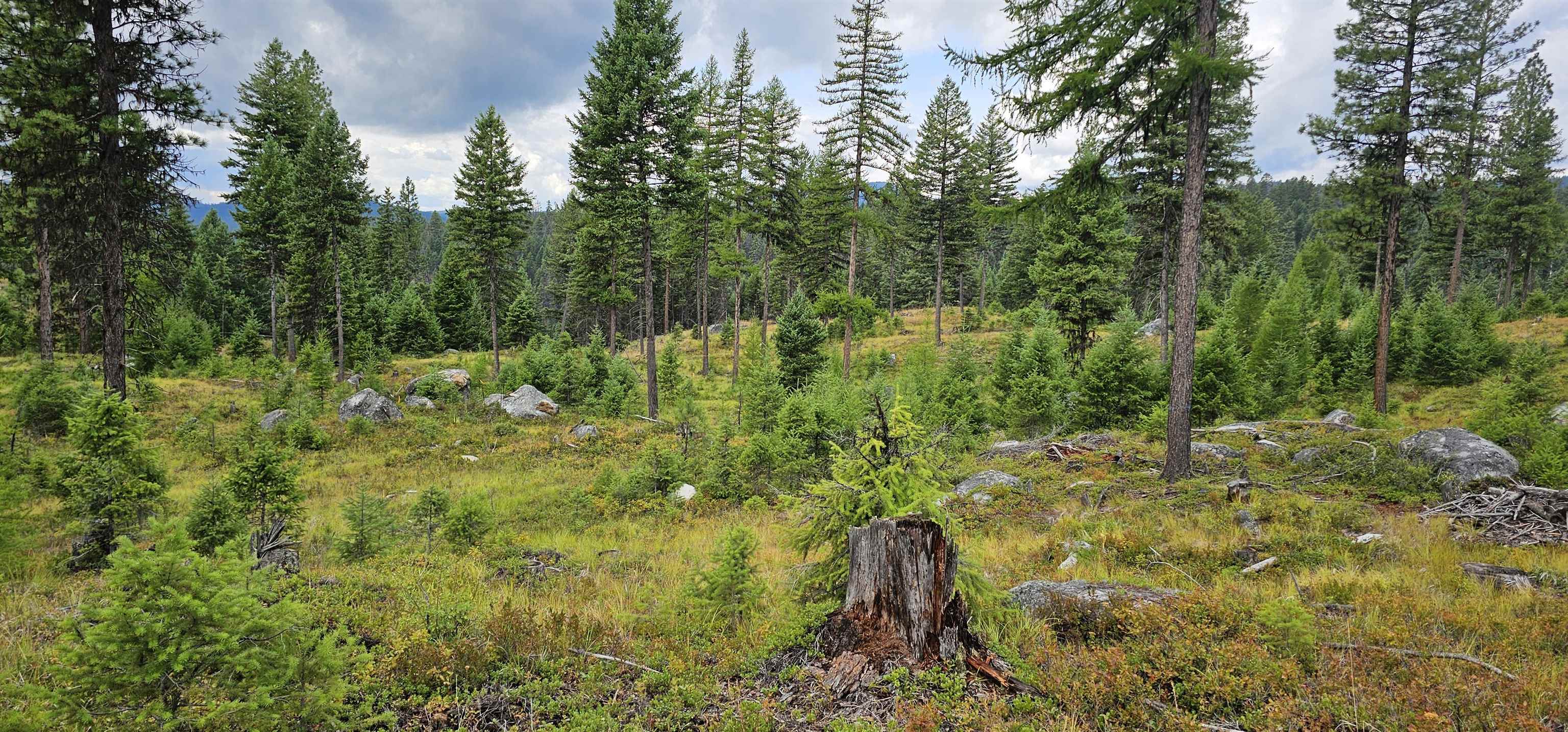 Tbd Lot 9 Tbd Road Republic, WA 99166 - Photo 8 of 28