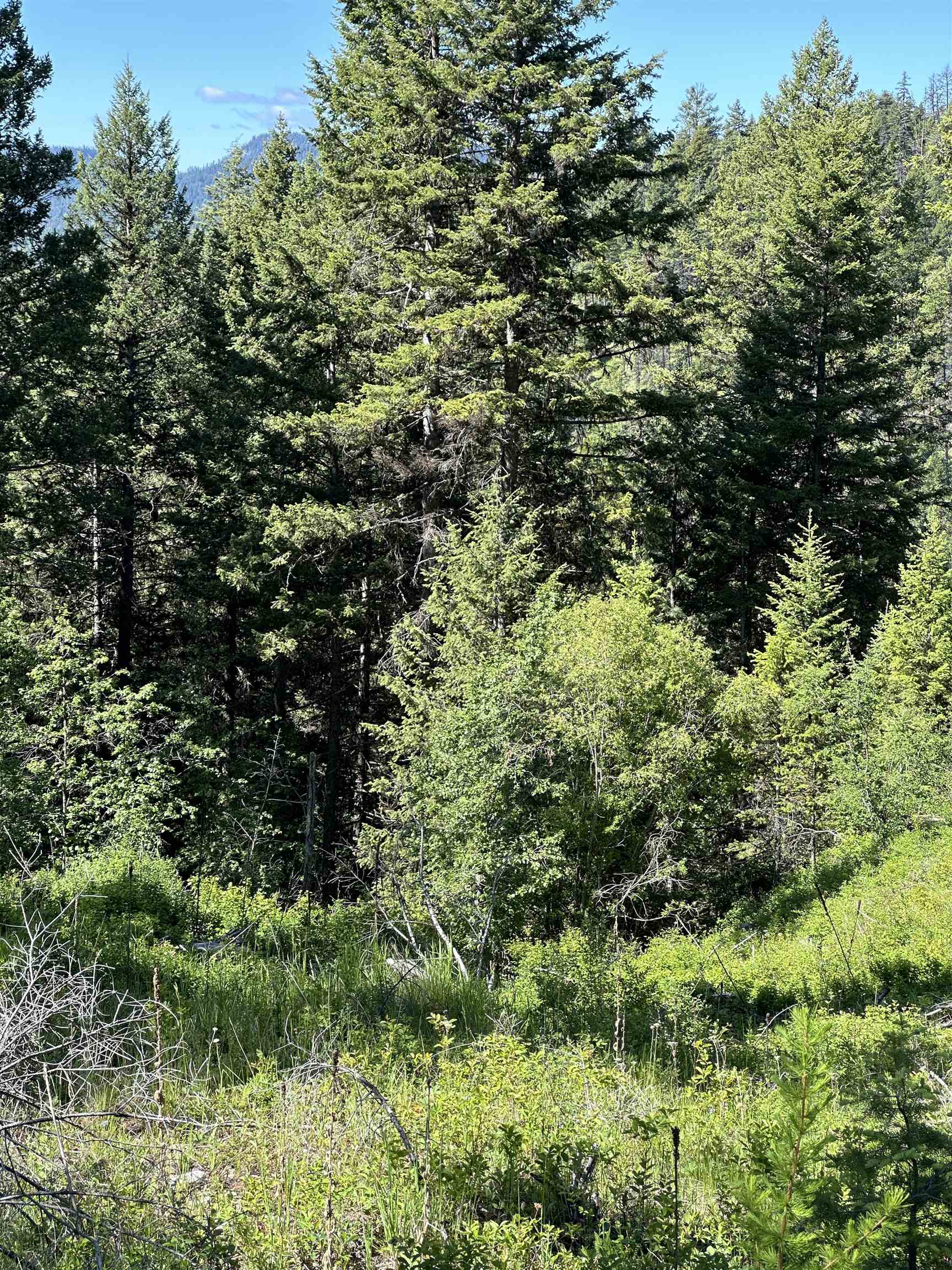 Tbd Lot 9 Tbd Road Republic, WA 99166 - Photo 10 of 28