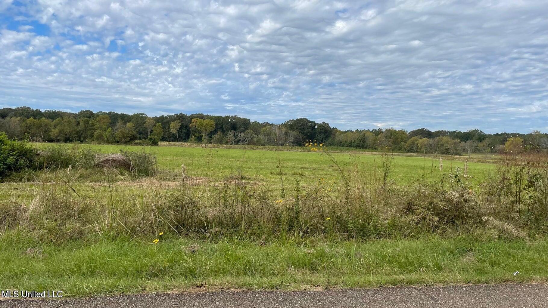 1951 East 3rd Street Forest, MS 39074 - Photo 91 of 91 20211028200355849373000000-o