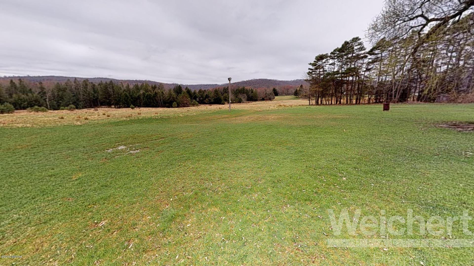 11280 Ellenton Mountain Road Shunk, PA 17768 - Photo 43 of 61 Open Fields