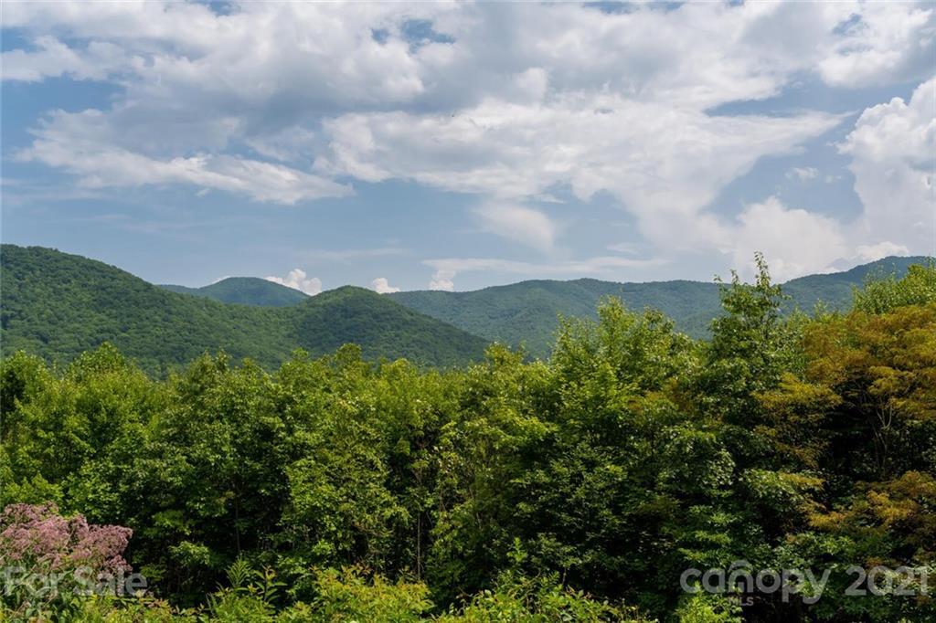 58 Dry Spring Road Candler, NC 28715 - Photo 31 of 37 Gallery Image 31
