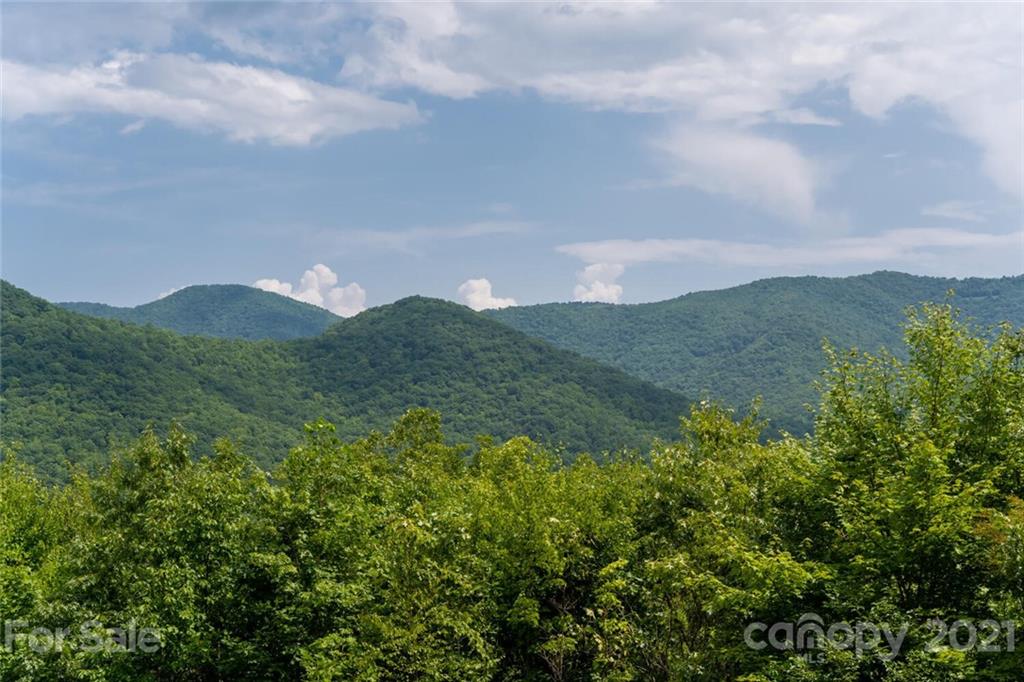 58 Dry Spring Road Candler, NC 28715 - Photo 7 of 37 Gallery Image 7