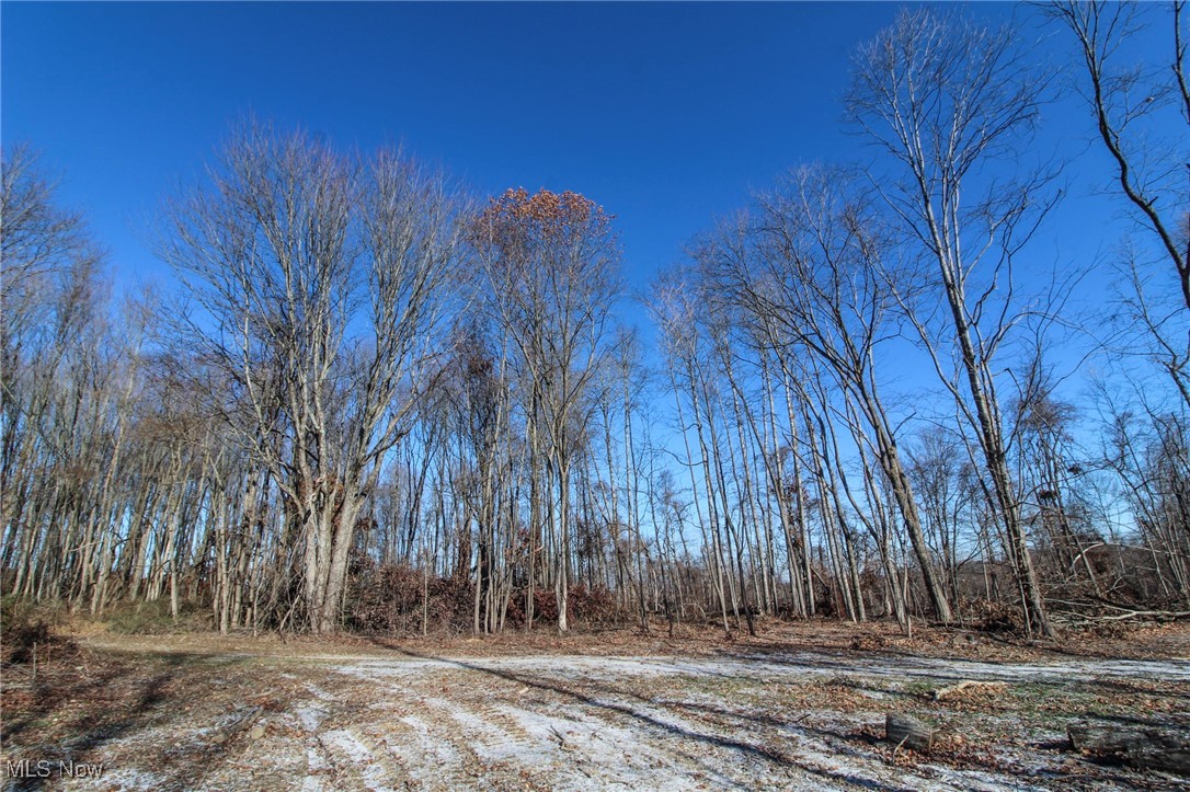 0 Pleasant Chapel Road Southeast Newark, OH 43056 - Photo 9 of 23 Gallery Image 9