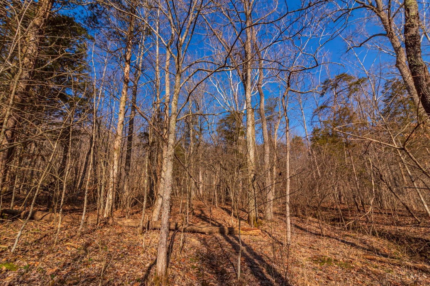 713 Hamilton Road Lynx, OH 45650 - Photo 19 of 44 Gallery Image 19
