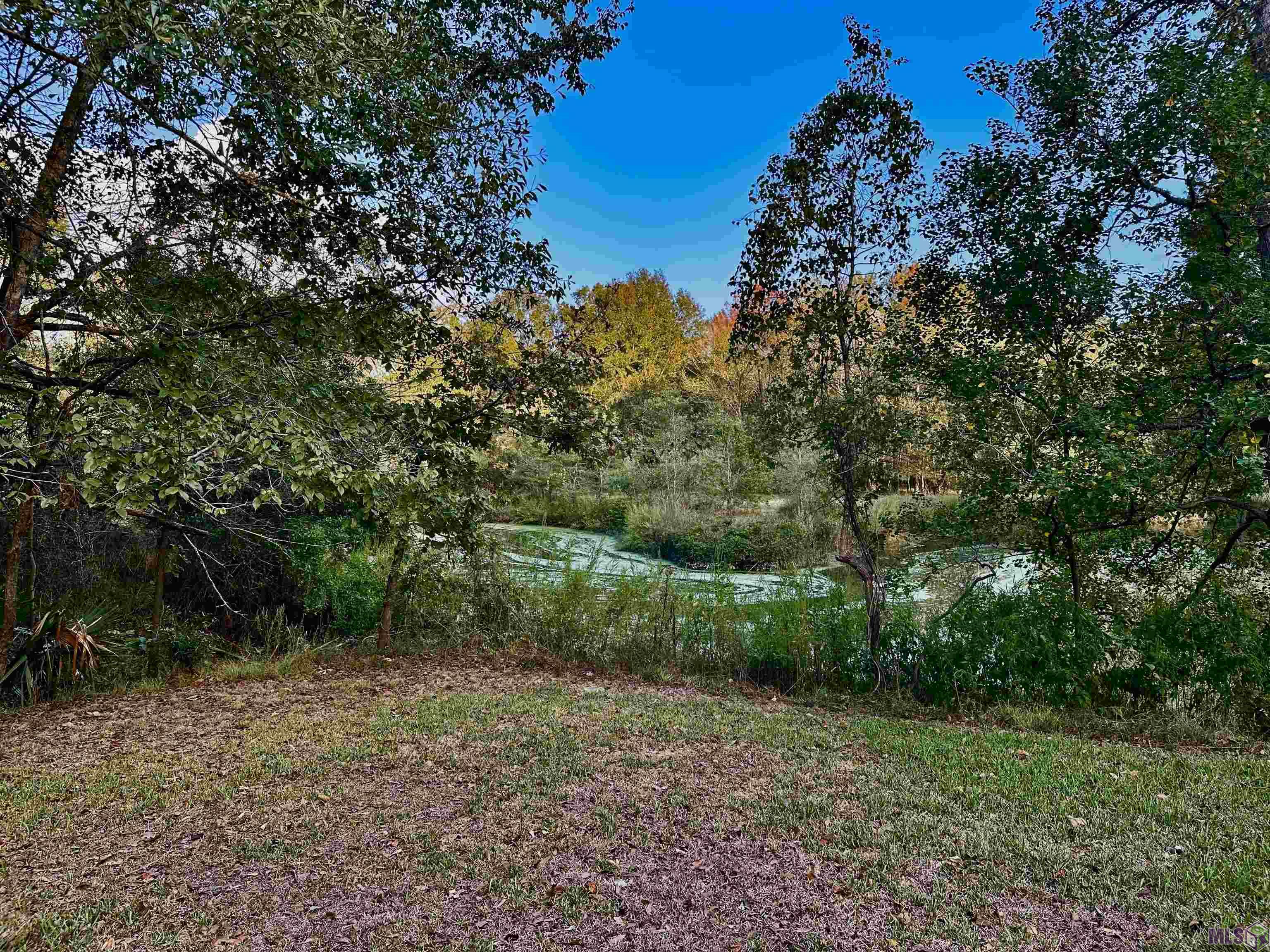 41390 Oak Harbor Road Prairieville, LA 70769 - Photo 1 of 8 Water view