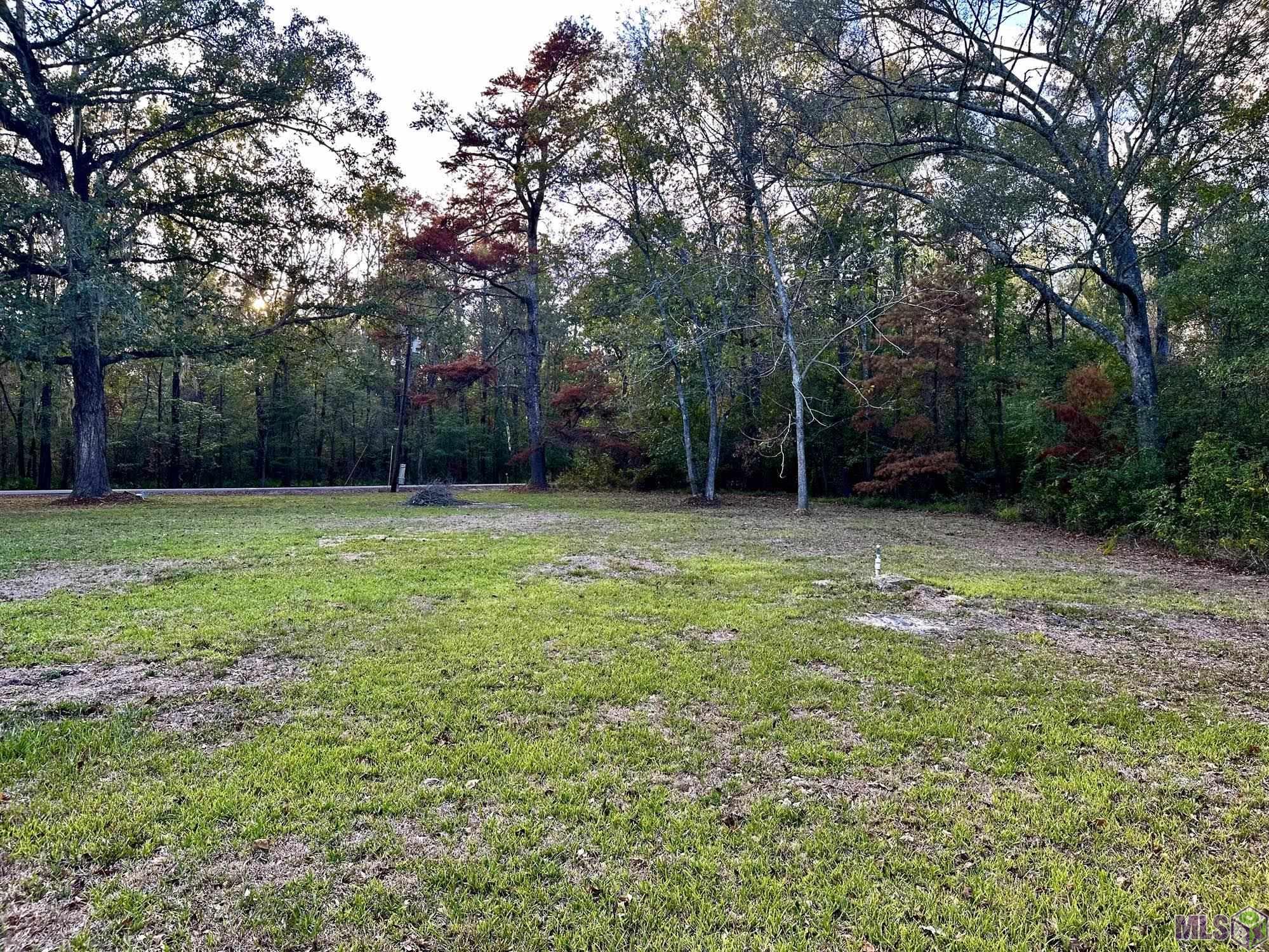 41390 Oak Harbor Road Prairieville, LA 70769 - Photo 5 of 8 View from back of property