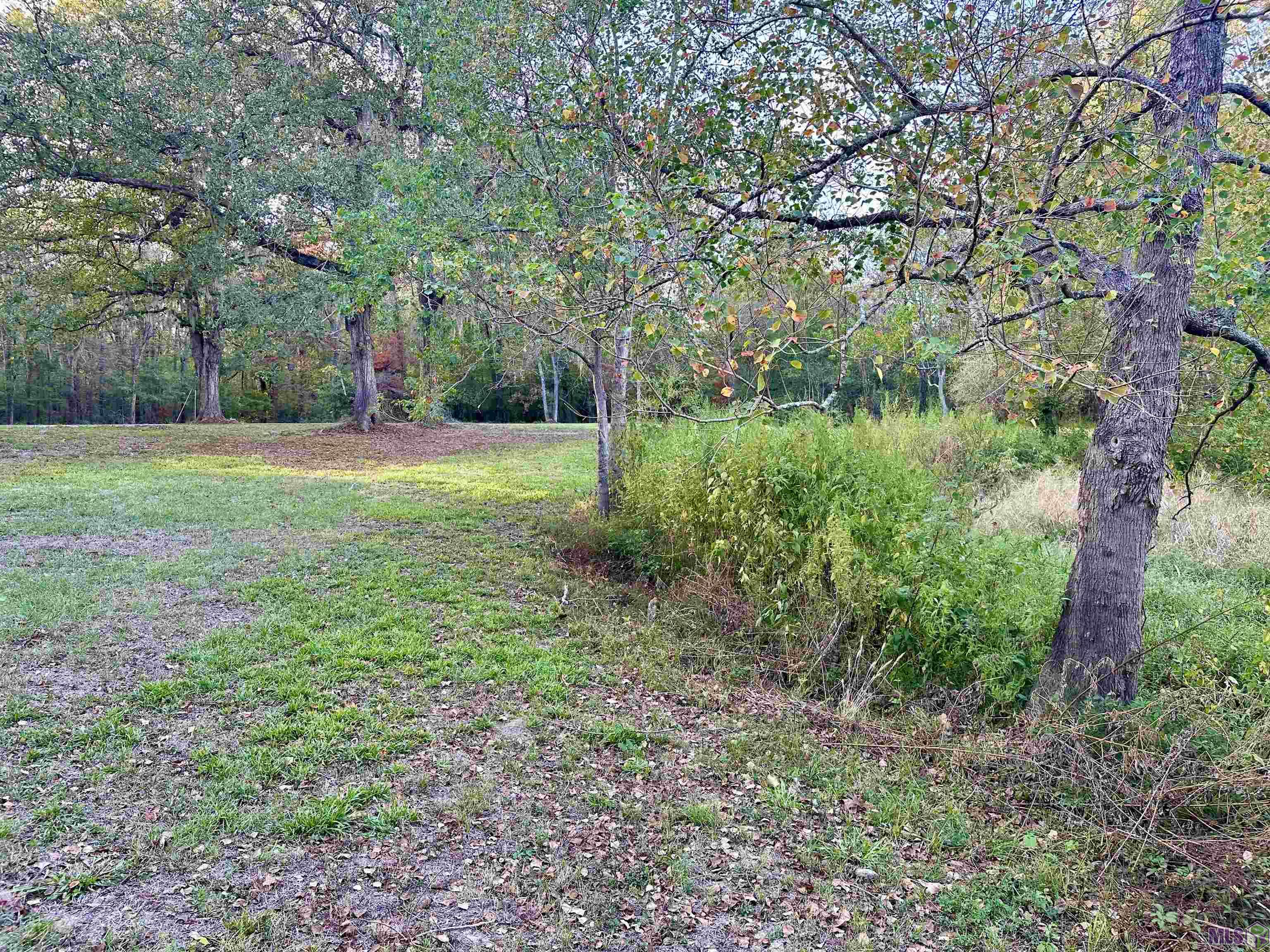41390 Oak Harbor Road Prairieville, LA 70769 - Photo 6 of 8 View looking across back of property