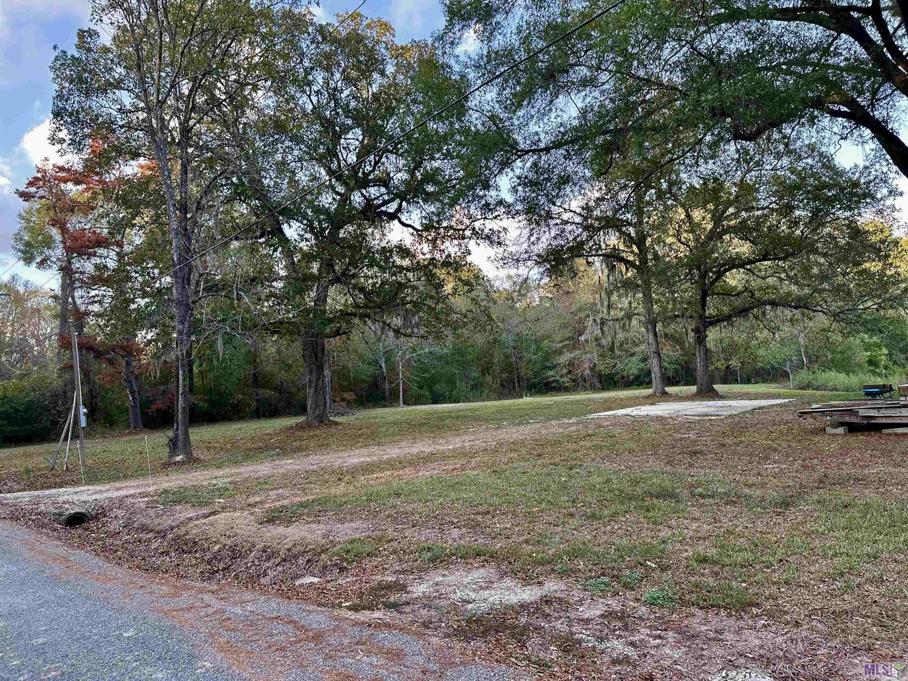 41390 Oak Harbor Road Prairieville, LA 70769 - Photo 8 of 8 View from road