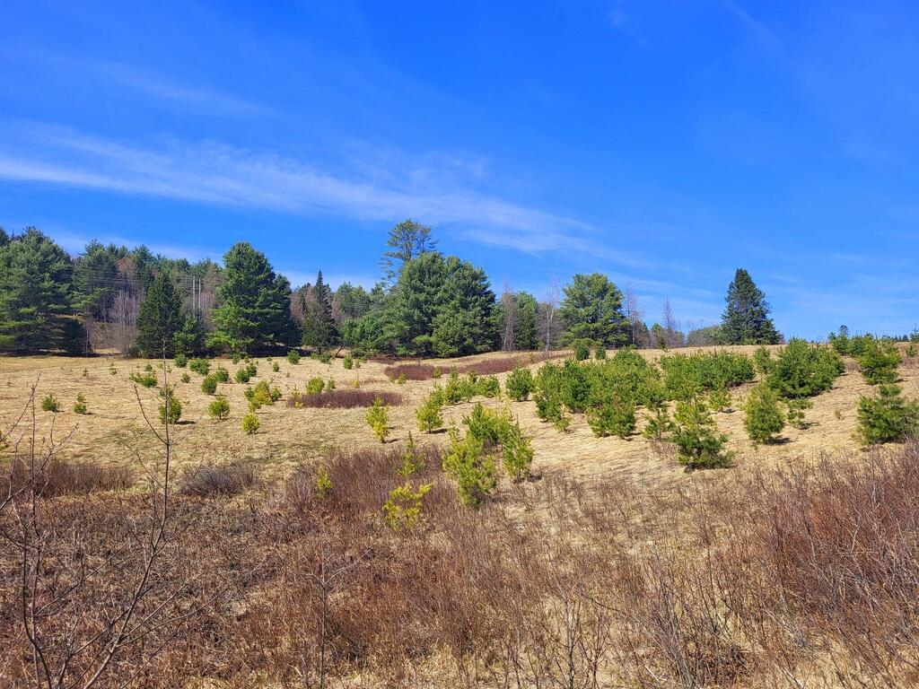 Lot 26-3-1 Lot 26-3-1 Kennebec River Rd