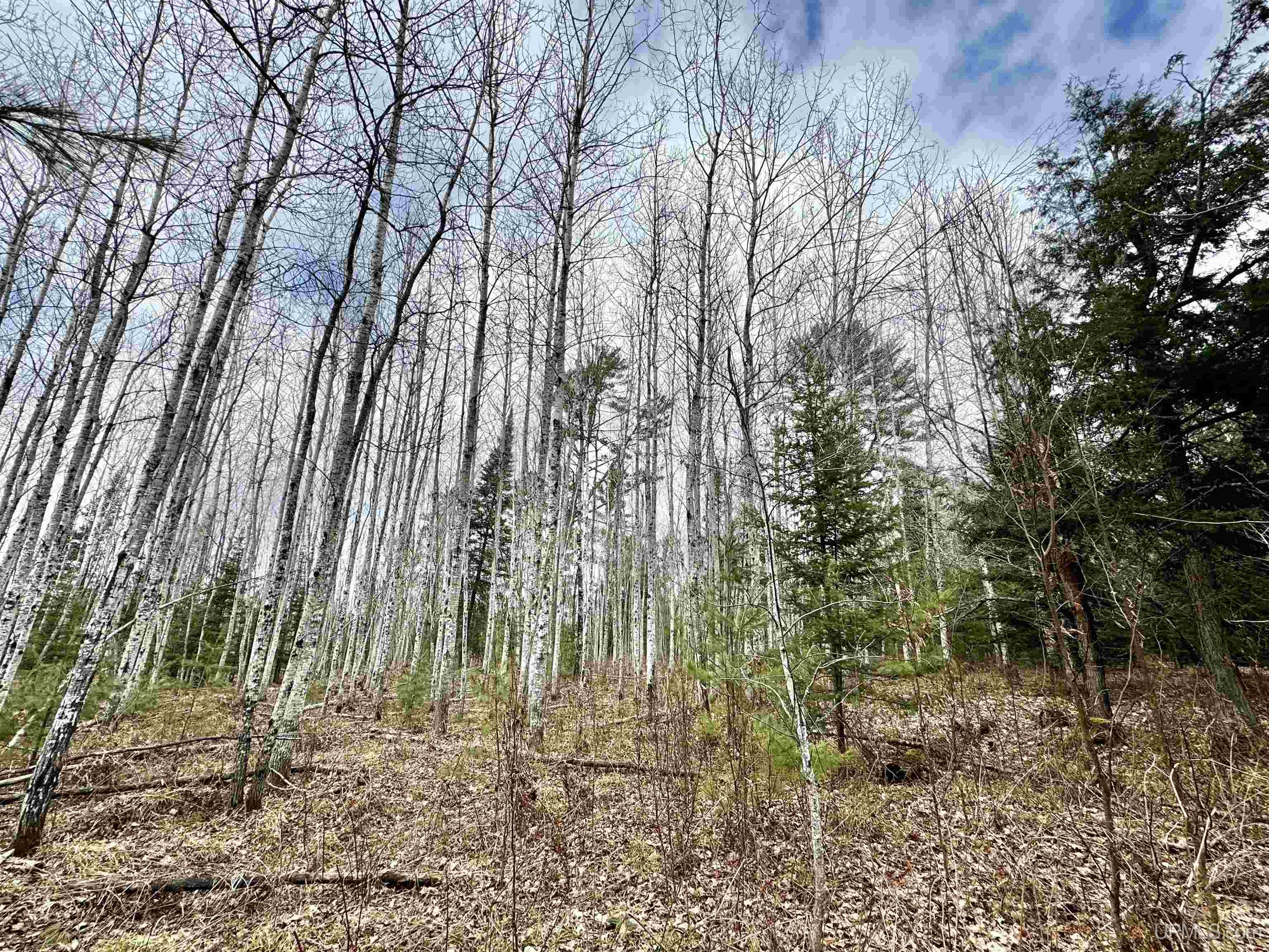 M69 Rd Perronville Mi 49873 Road Perronville, MI 49873 - Photo 16 of 41
