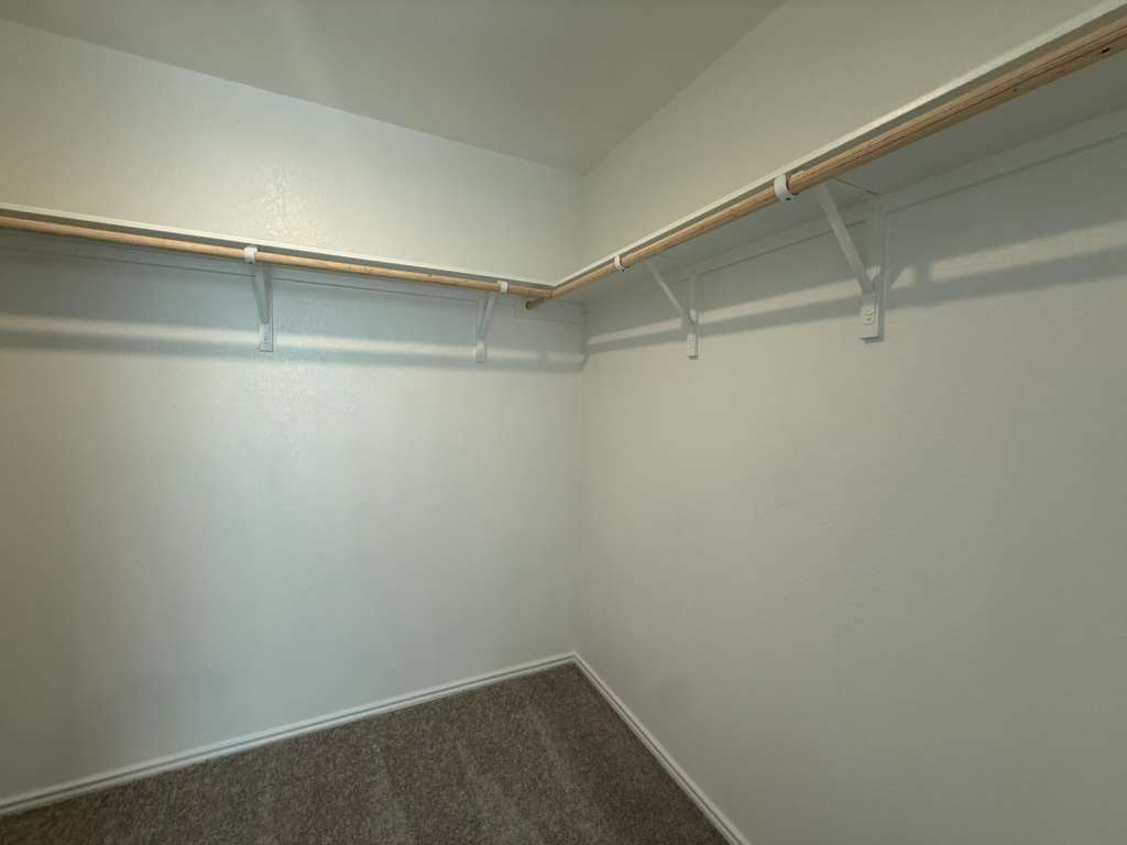 623 Sormonne Loop Kyle, TX 78640 - Photo 24 of 40 Walk in closet featuring dark colored carpet