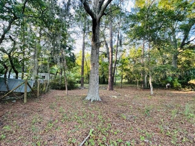 1010 South Main Street Bell, FL 32619 - Photo 11 of 14 a backyard of a house with lots of green space