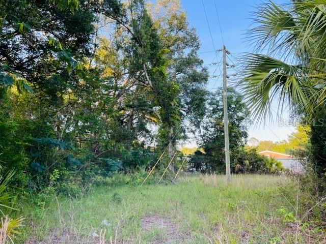 1010 South Main Street Bell, FL 32619 - Photo 13 of 14 a view of a garden