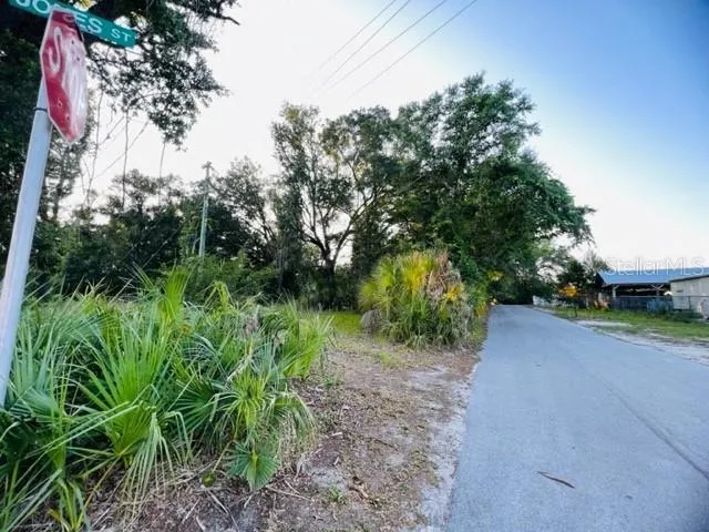 a view of a yard with plants and trees