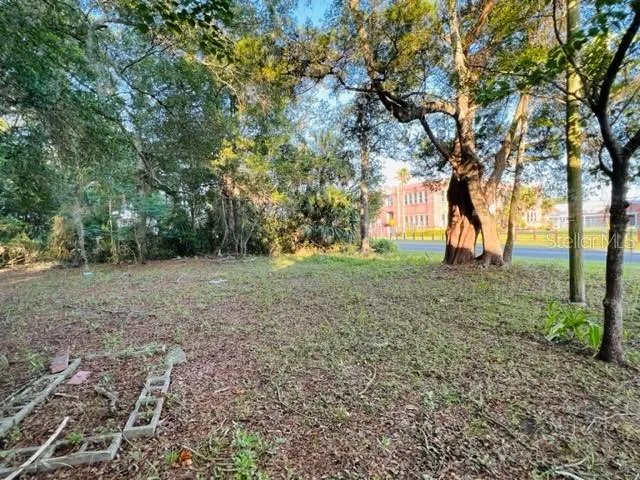 a view of outdoor space with large trees
