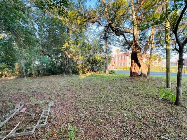 1010 South Main Street Bell, FL 32619 - Photo 9 of 14 a view of outdoor space with large trees