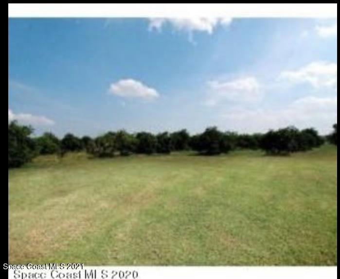 0 Grant Line Road Mims, FL 32754 - Photo 2 of 5