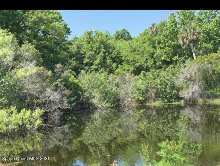 0 Grant Line Road Mims, FL 32754 - Photo 3 of 5 a view of a lake view