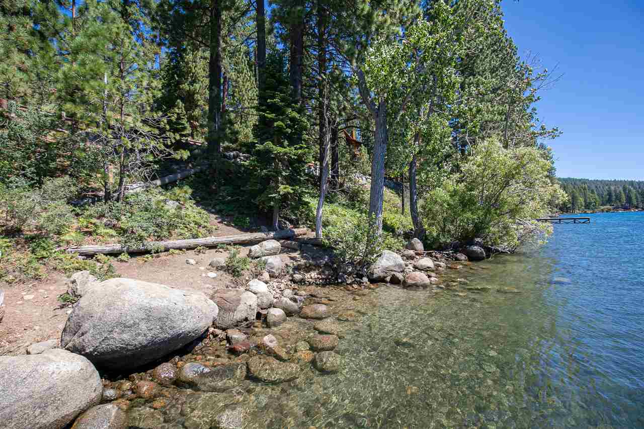 14300 Donner Pass Road Truckee, CA 96161 - Photo 20 of 20 a view of a yard with plants and trees