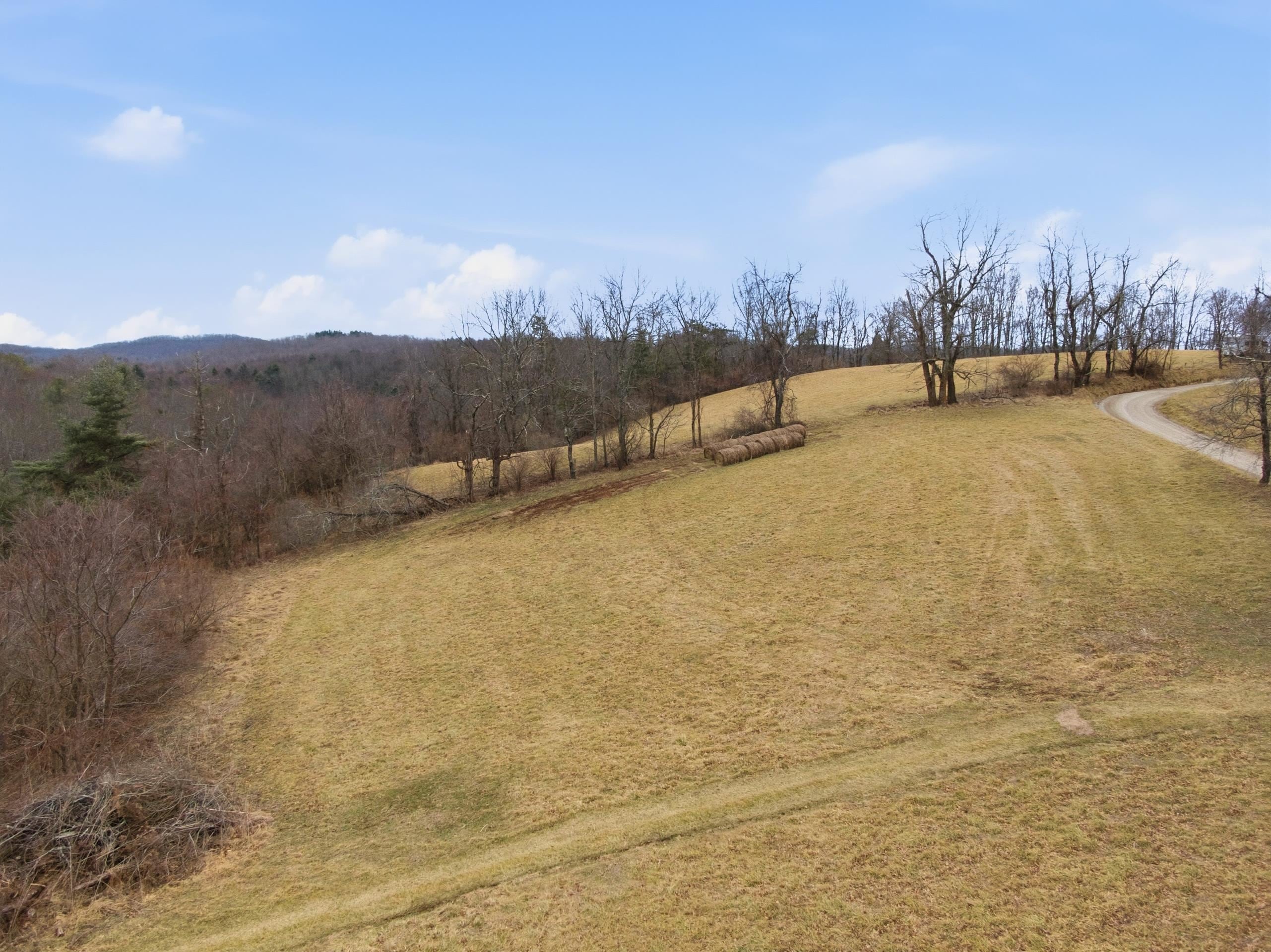 Tbd Dobbins Farm Road Northeast Floyd, VA 24091 - Photo 24 of 37 Gallery Image 24