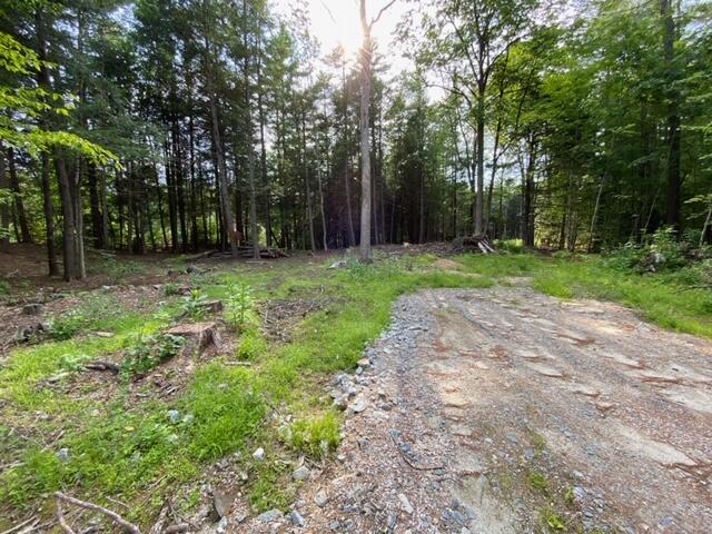 0 Iron Wood Road New Gloucester, ME 04260 - Photo 10 of 10 image8