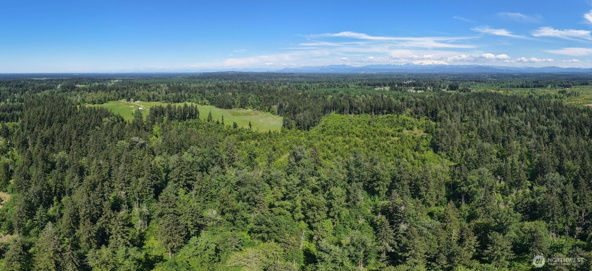 1716 304th Street East Roy, WA 98580 - Photo 4 of 21 a view of a city with lush green forest