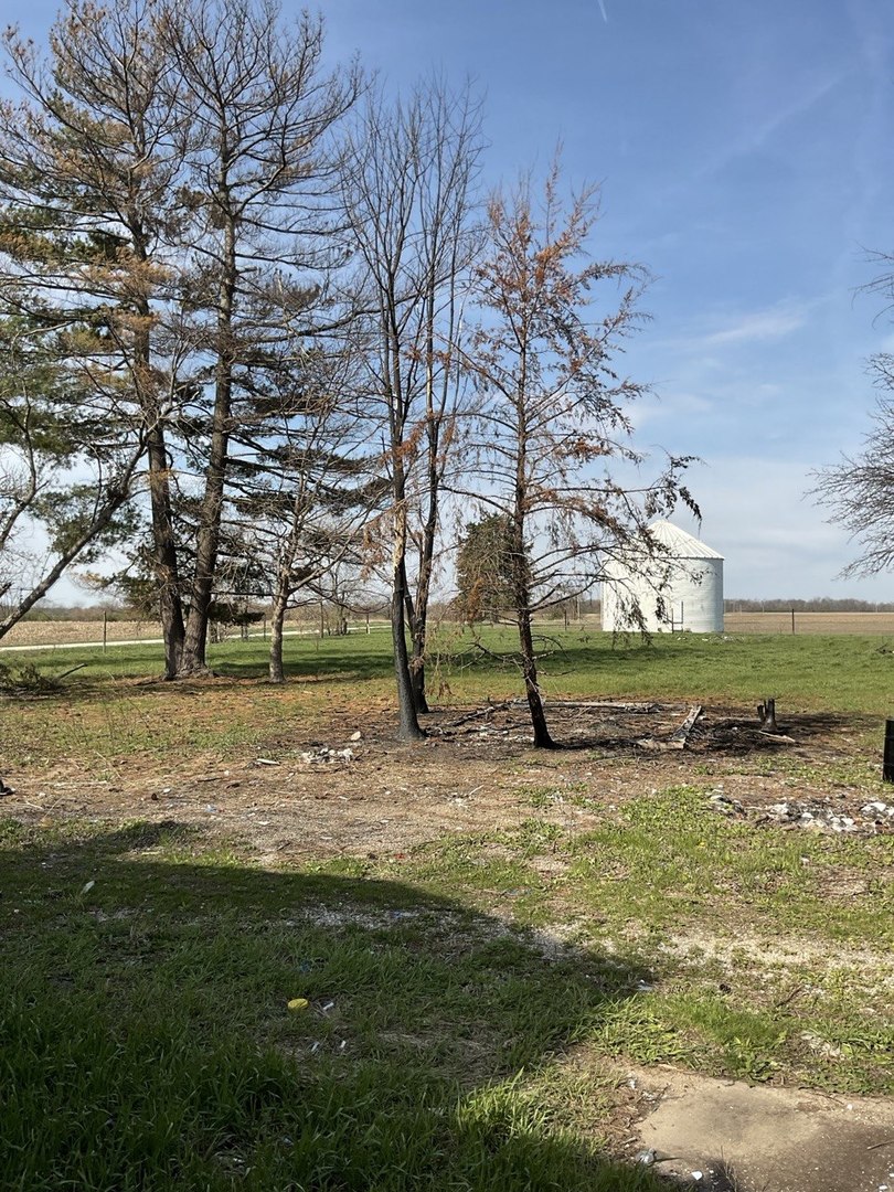 8809 East 3100 N Road Potomac, IL 61865 - Photo 2 of 27