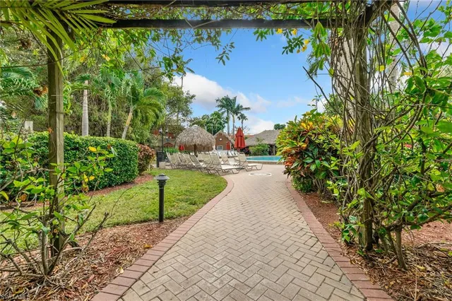 a view of a yard with plants and large trees
