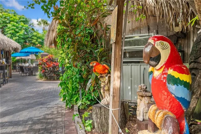 an outdoor space with lots of stuff and tree