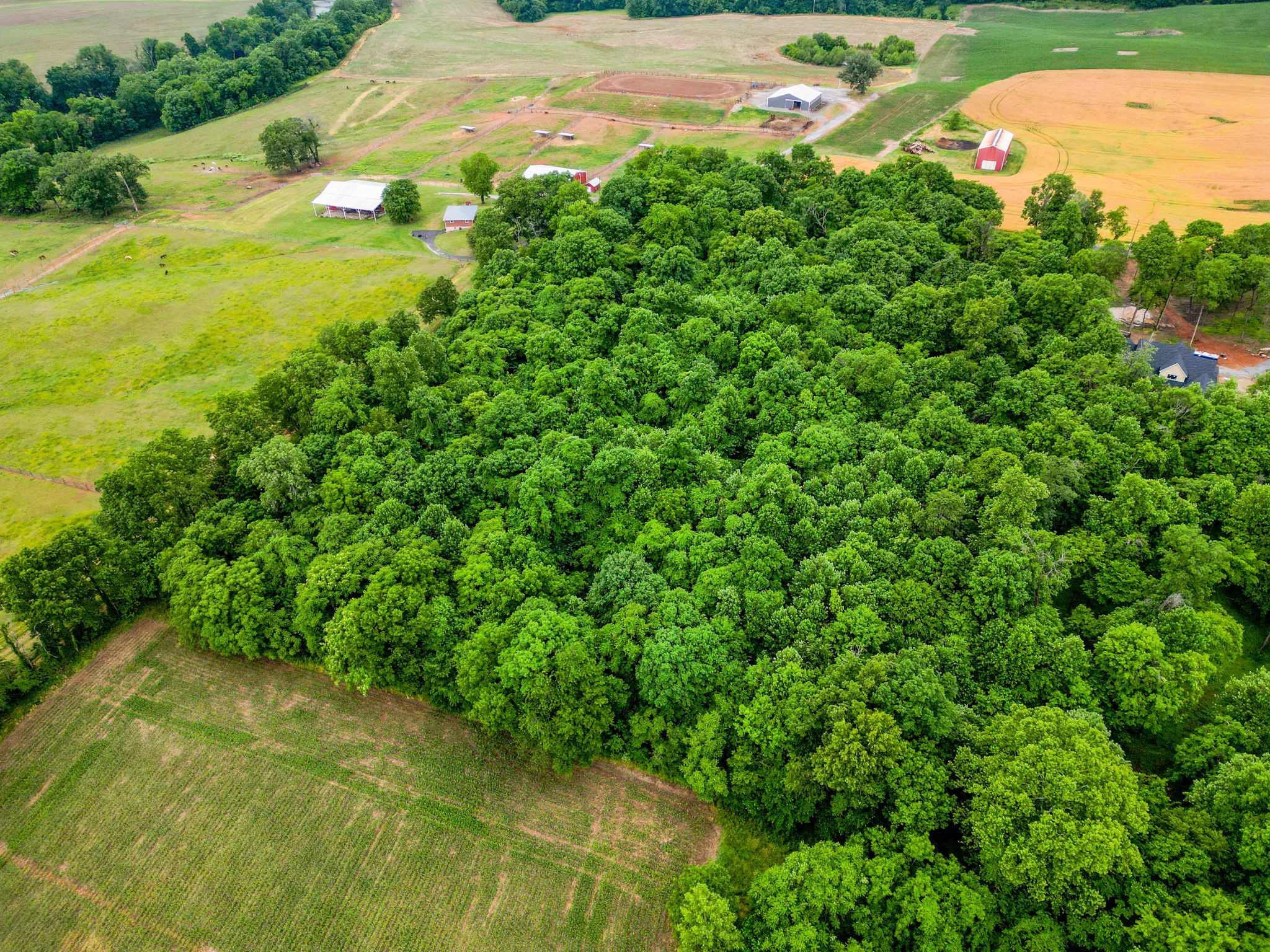 4 J J Bourne Road Adams, TN 37010 - Photo 11 of 13 a view of an outdoor space