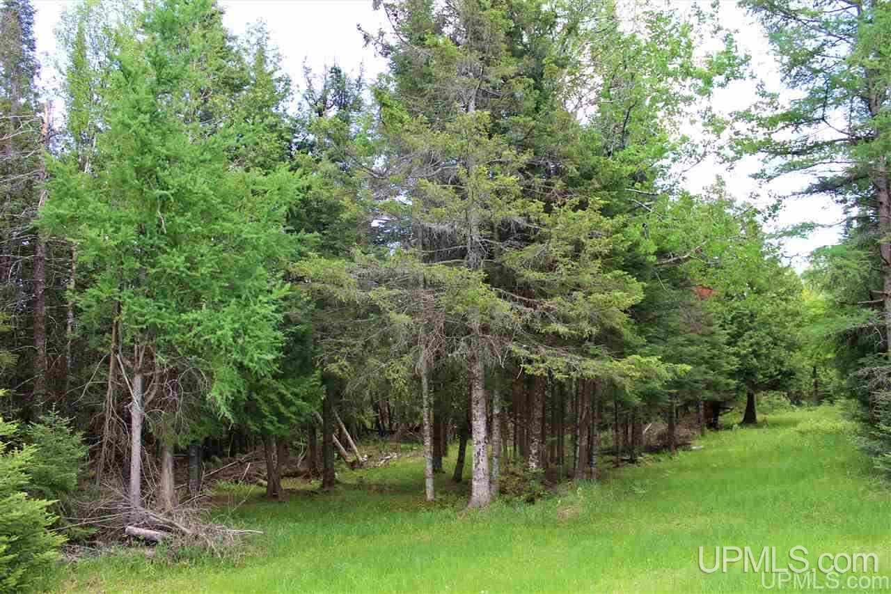 400-acres 12th Road Bark River, MI 49807 - Photo 17 of 28 Gallery Image 17