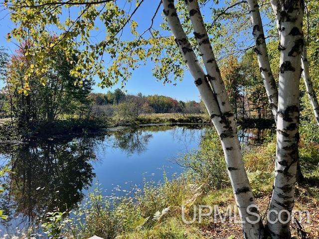 25307 Dover Road Calumet, MI 49913 - Photo 21 of 47