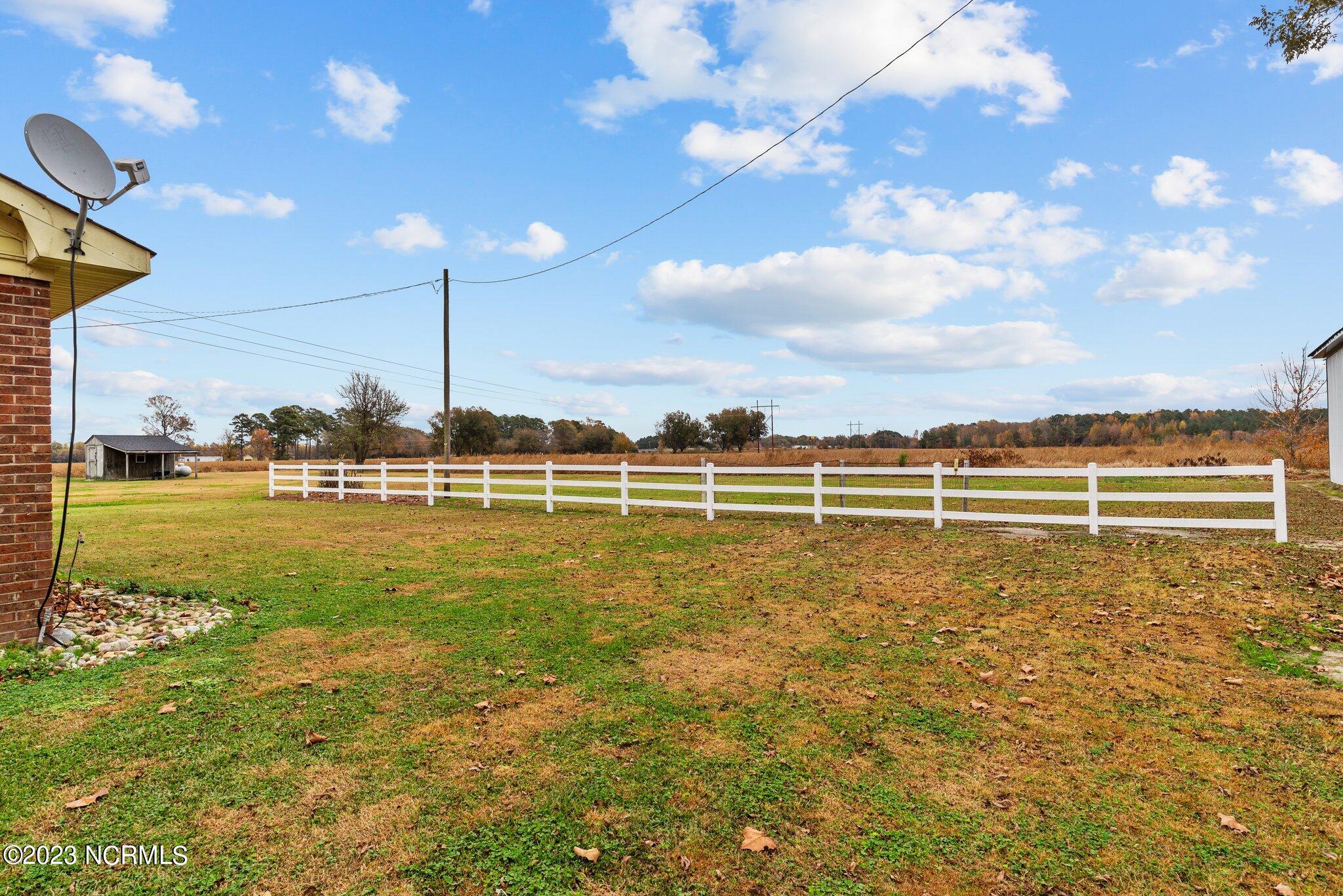8039 Stantonsburg Road Farmville, NC 27828 - Photo 22 of 33 Back Yard