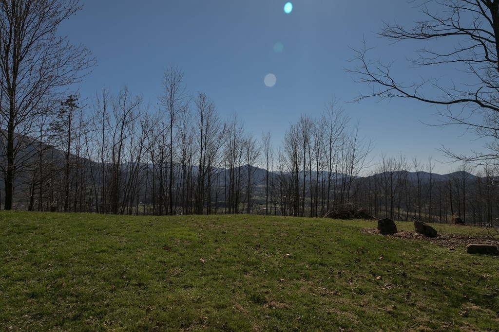 2 Which A Way Sevierville, TN 37862 - Photo 10 of 22