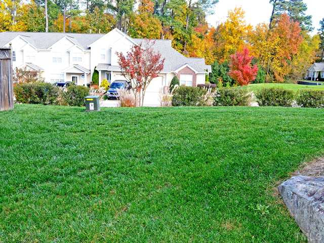 2733 Andover Glen Road Raleigh, NC 27604 - Photo 15 of 17 Back Yard
