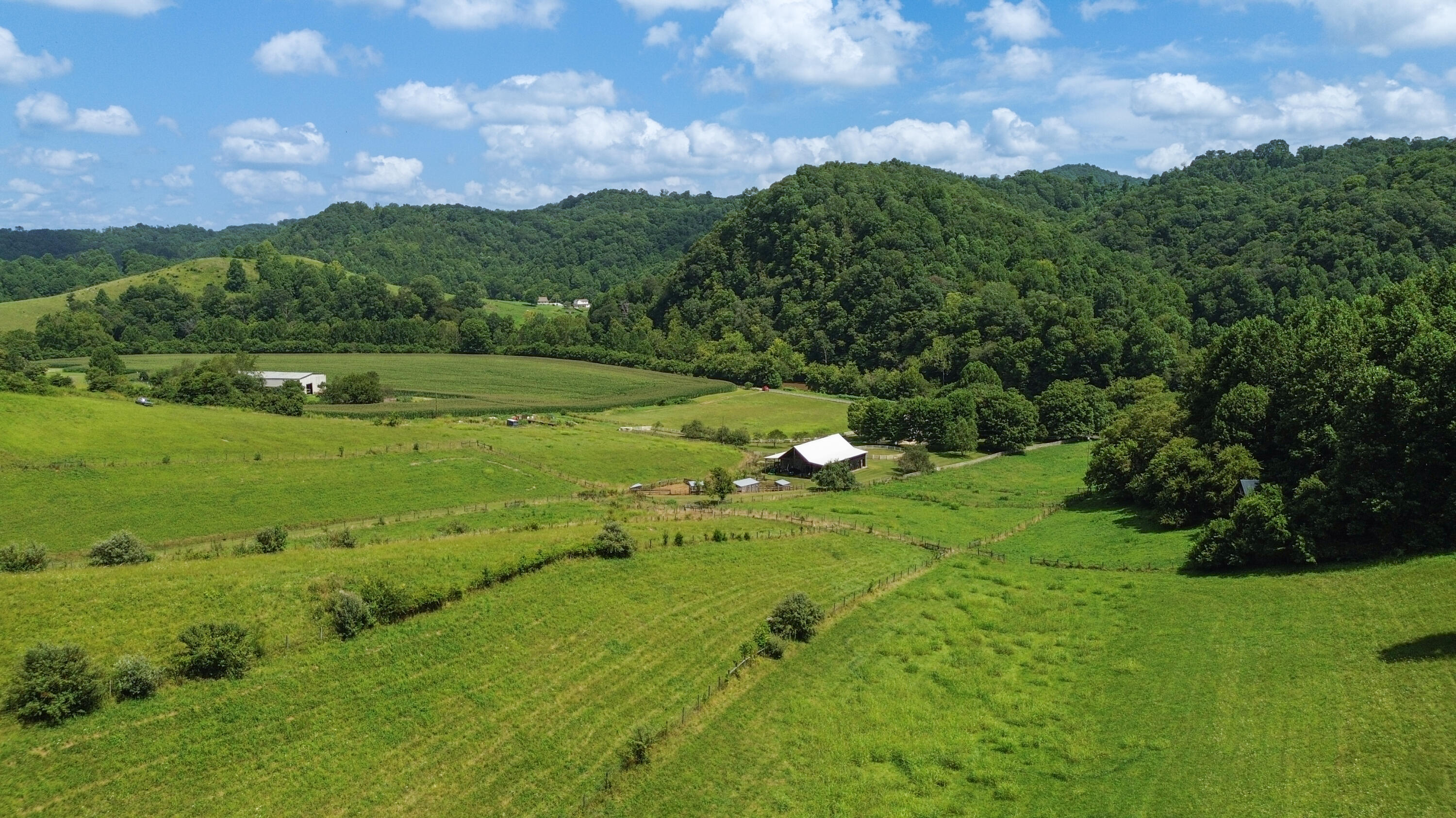 5031 Swinging Bridge Road Mendota, VA 24270 - Photo 12 of 68 14