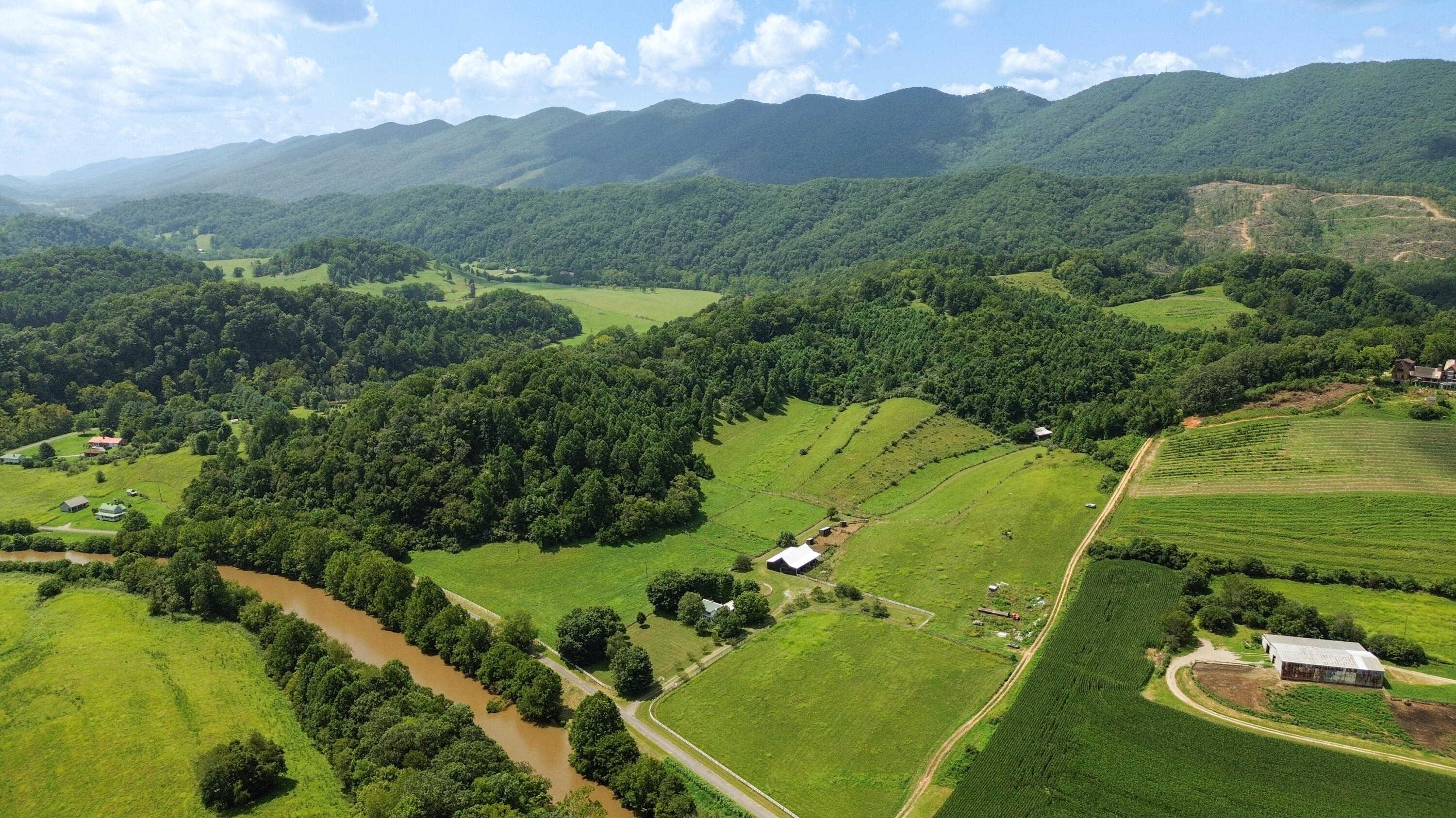 5031 Swinging Bridge Road Mendota, VA 24270 - Photo 8 of 68 11