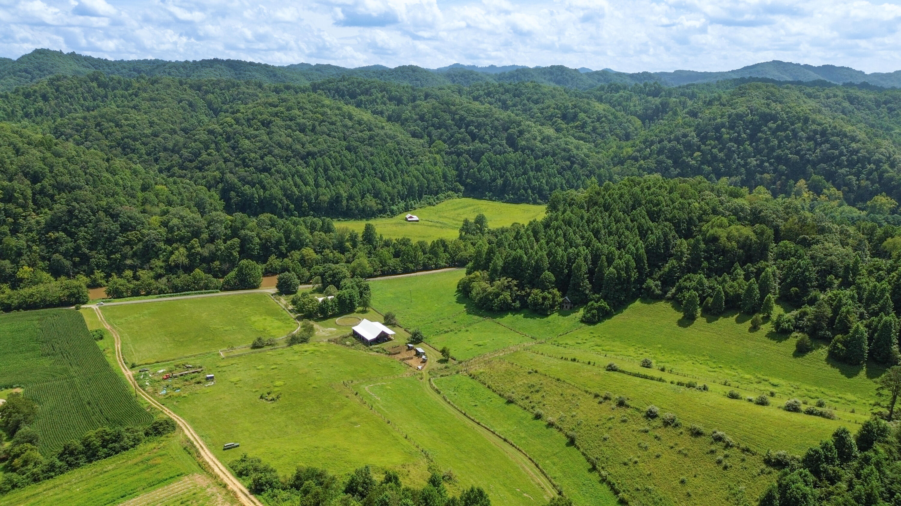 5031 Swinging Bridge Road Mendota, VA 24270 - Photo 10 of 68 12