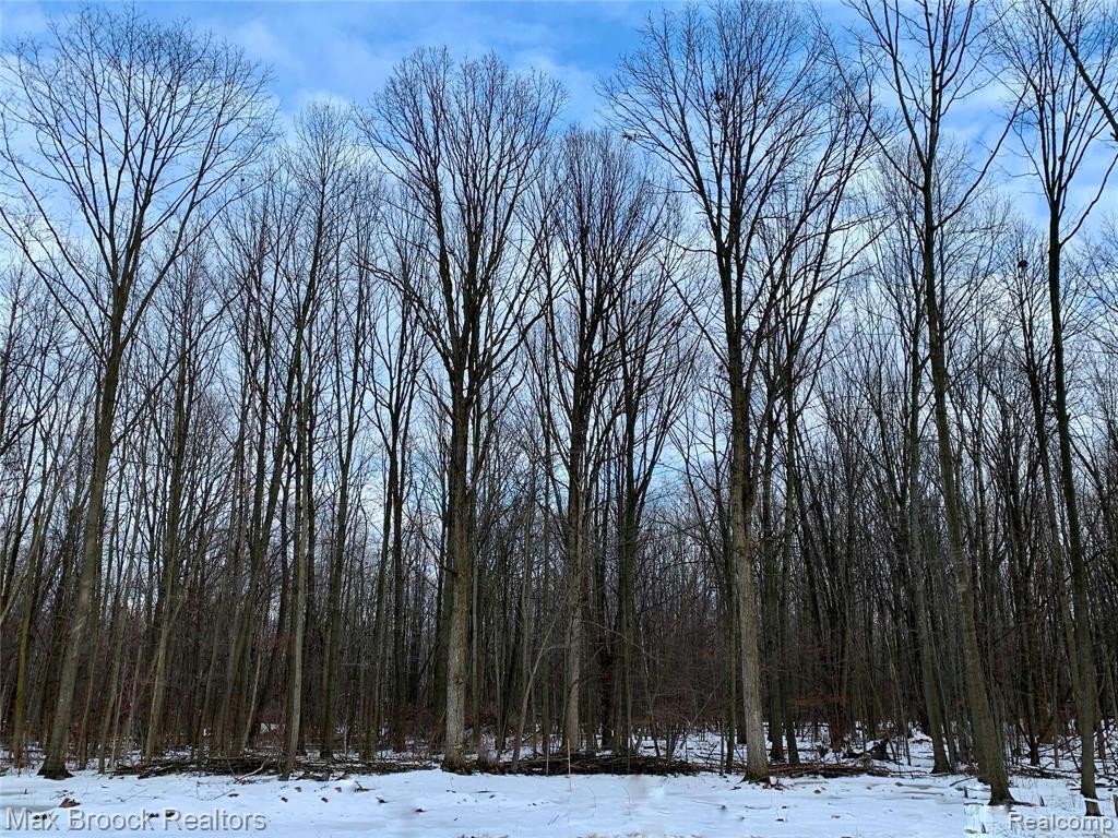 725 Wirbel Road Pinconning, MI 48650 - Photo 62 of 89