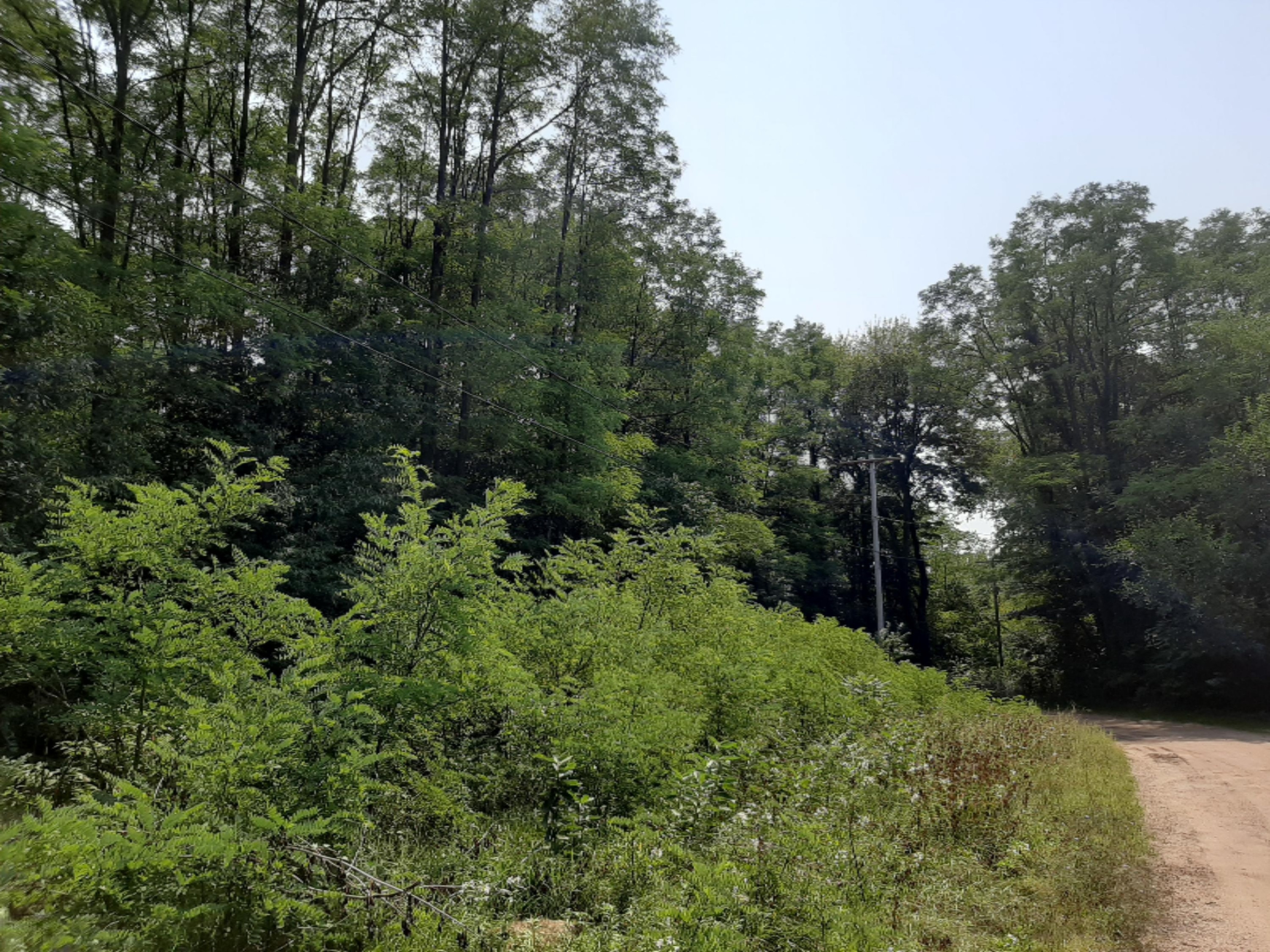 Barnes Road Ravenna, MI 49451 - Photo 1 of 5 4th & beech ... (1)
