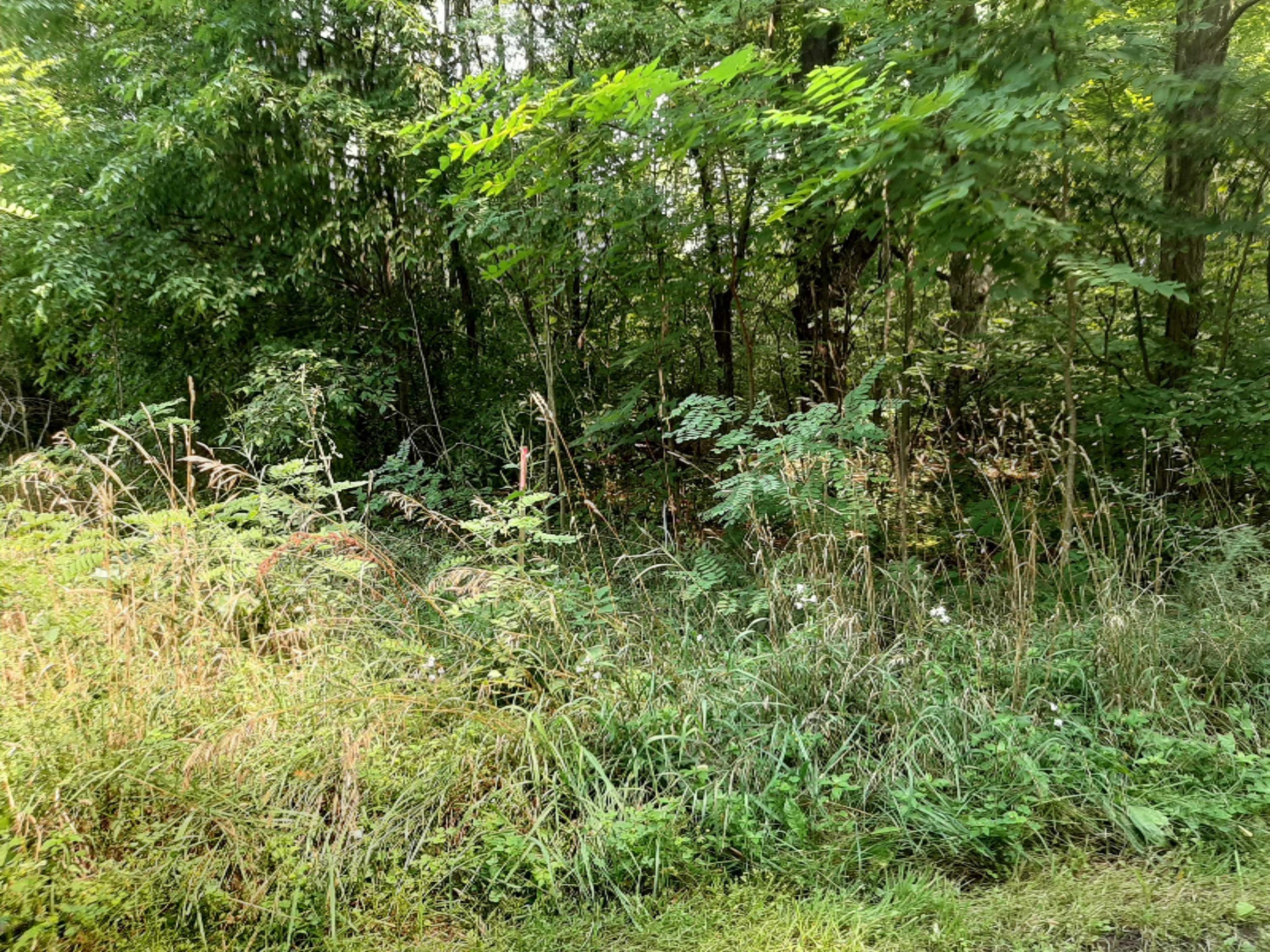 Barnes Road Ravenna, MI 49451 - Photo 3 of 5 4th & Beech ..