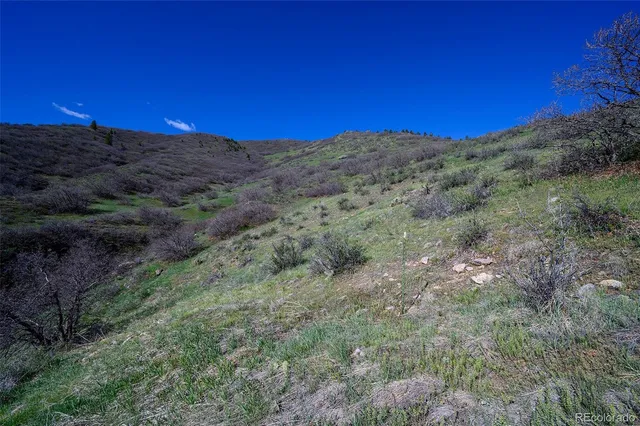 a view of a city with lush green forest