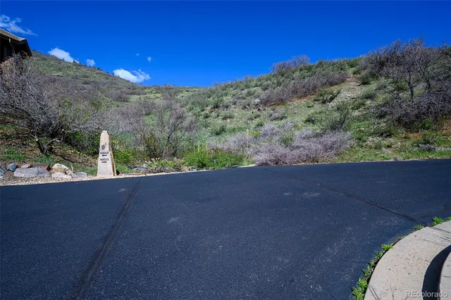 a view of a dry yard