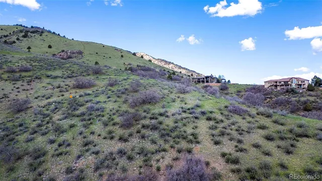 a view of a big yard