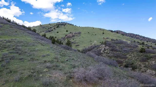 a view of a dry yard with mountains in the background