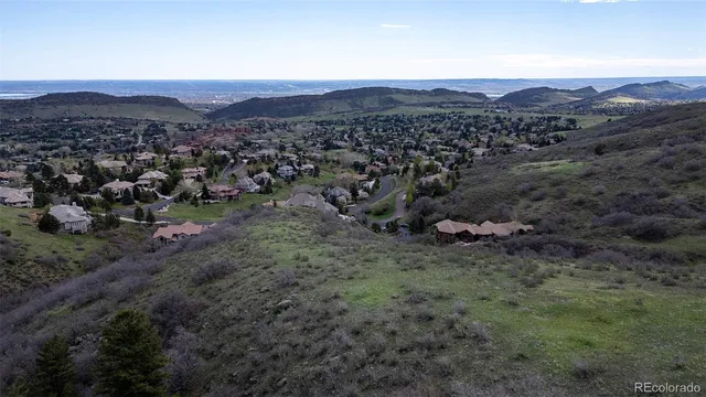 a view of a forest with a mountain