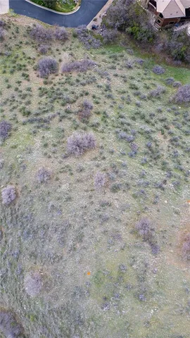 a view of a dry yard