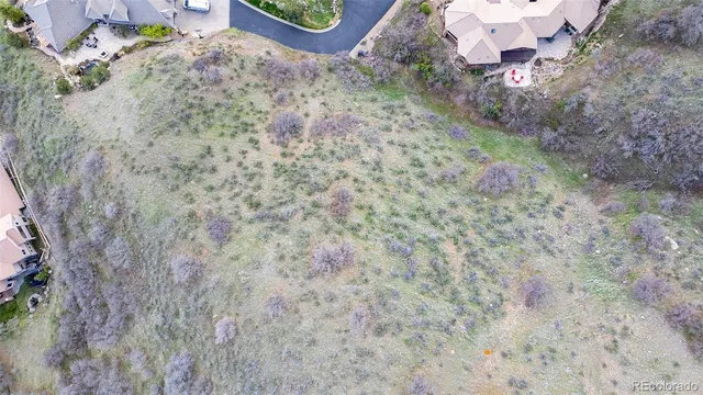 a view of a dry yard