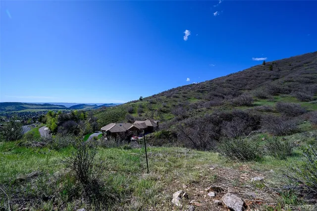 a view of a lush green field